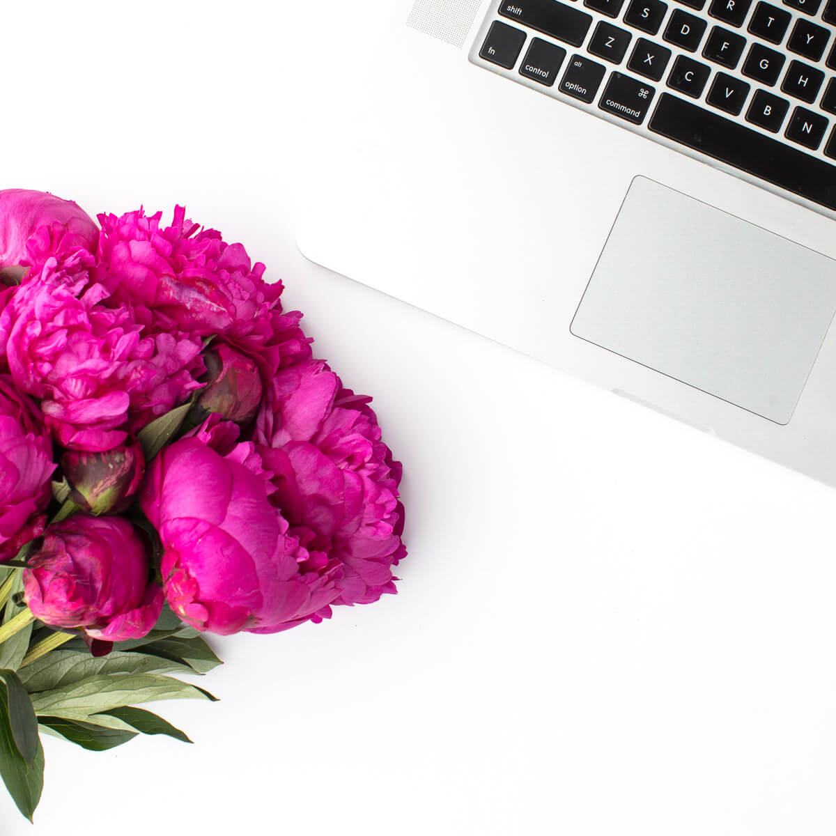 Pink flowers and laptop